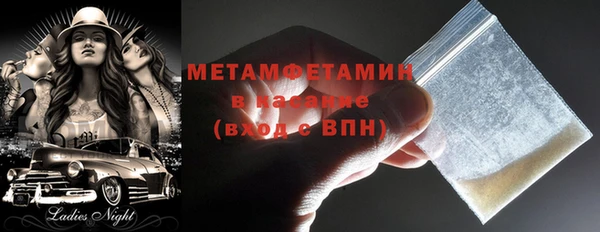 гидра Богданович