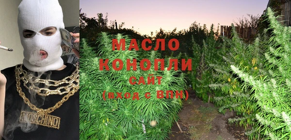 мдпв Богородск