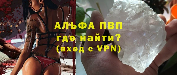 стафф Бородино