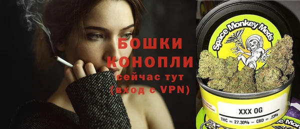 гидра Богданович