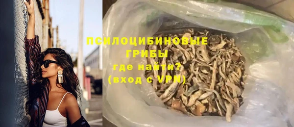 мдпв Богородск