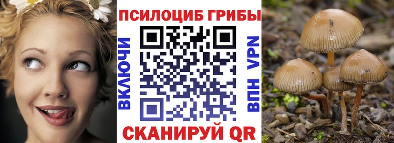 наркошоп  Верхняя Тура  Галлюциногенные грибы MAGIC MUSHROOMS 
